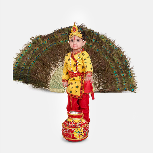 Radha and Krishna Brocade Fabric Janmashtami Mythological Character Costume - Feather-Print