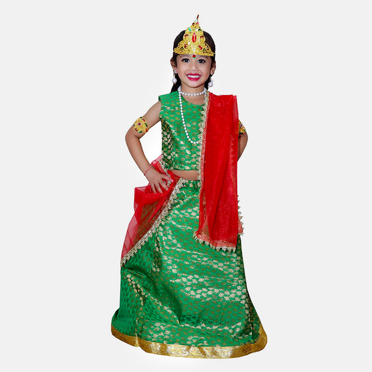 Brocade Fabric Mythological Character Sita Costume