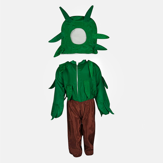 Kids Vegetables Fancy Dress & Costume school function Theme Party - Green/Brown