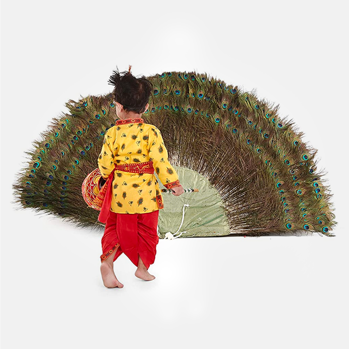 Radha and Krishna Brocade Fabric Janmashtami Mythological Character Costume - Feather-Print